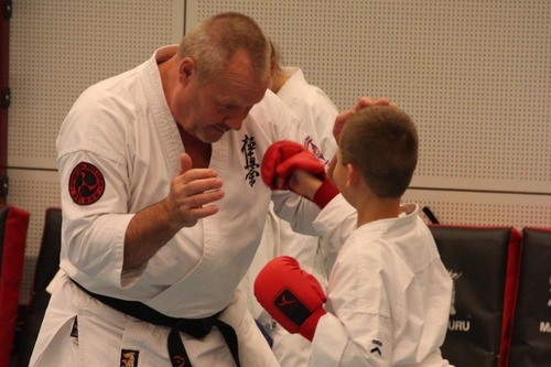 karatetraining met docent