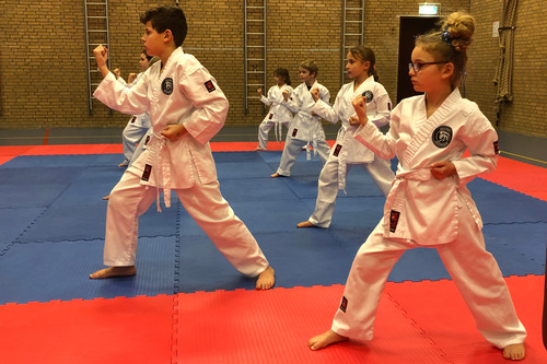 KARATE