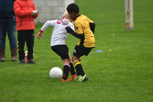 Zowel voor recreatief als prestatief voetbal is voldoende ruimte