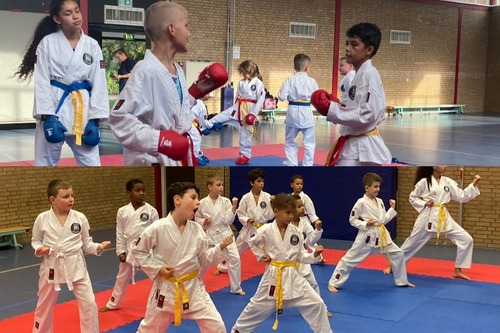 Karate en Kickboksen