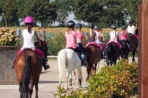 Ponyrijden