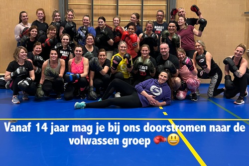 Volwassen groep